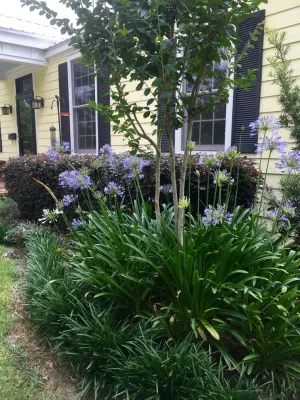 Martinson's Garden Works - Sidewalk & Pathway Installation in Ridgeland, MS