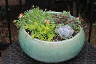 Woodland Hills Backyard Oasis + Container Garden — Landscape Design project by Martinson's Garden Works in Jackson