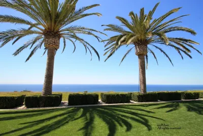 Andrea Moni - Tree Planting & Transplanting in Irvine, CA