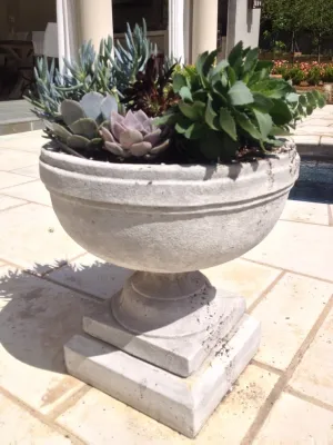 Jackson Garden Design + Container Garden — Landscape Design project by Martinson's Garden Works in Jackson