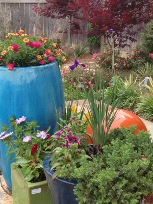 Madison Container Garden — Landscape Design project by Martinson's Garden Works in Madison