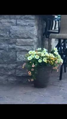 Materia Group - Patio Design & Installation in Greenwich, CT