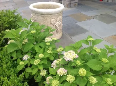 Materia Group - Patio Design & Installation in Greenwich, CT