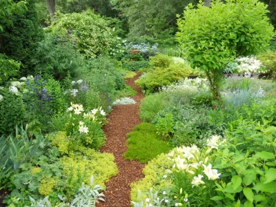 Andrew Grossman Landscape Design - Garden Remodeling in Seekonk, MA