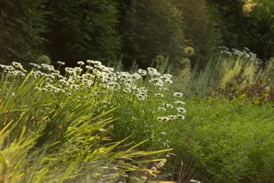 Matteson Landscape Architecture - Outdoor Lighting Installation in Fairfield, CT