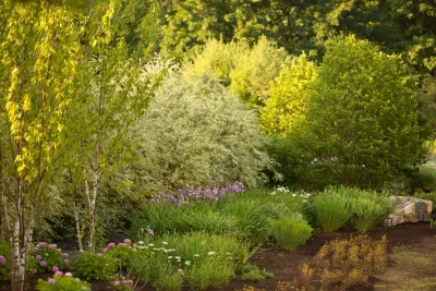 Matteson Landscape Architecture - Outdoor Lighting Installation in Fairfield, CT