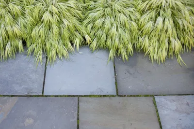 Matthew Cunningham Landscape Design LLC - Landscape Design in Stoneham, MA