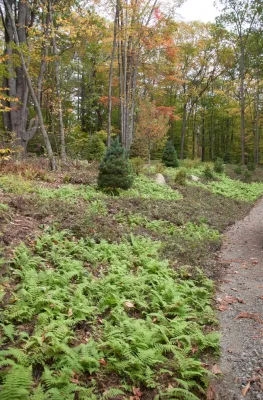Dog Cove — Landscape Design project by Matthew Cunningham Landscape Design LLC