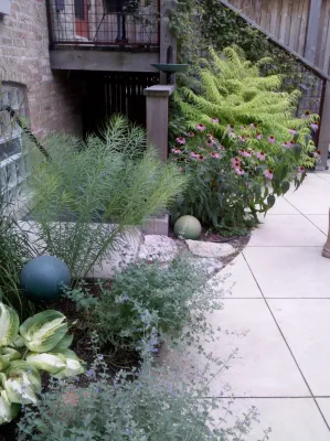 Oak Park Bowling Ball Rain Garden by Anne Roberts Gardens, Inc.