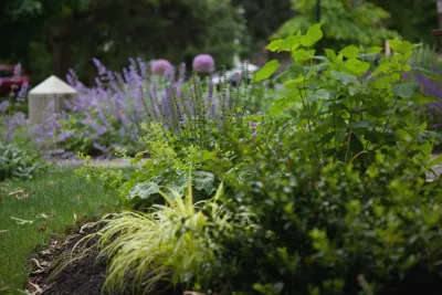 Washington Park — Landscape Design project by Matthew Cunningham Landscape Design LLC