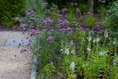 Warren Estate — Landscape Design project by Matthew Cunningham Landscape Design LLC