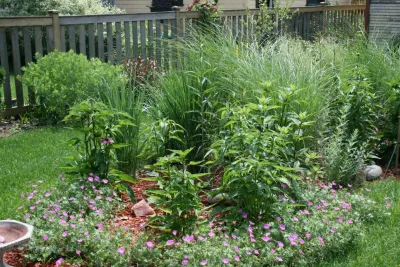Anne Roberts Gardens, Inc. - Rainwater Harvesting System Installation in Chicago, IL