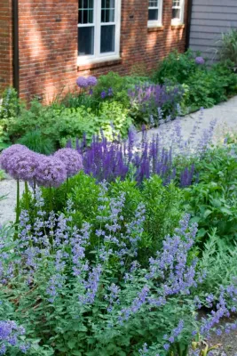 Belmont Hill Residence — Landscape Design project by Matthew Cunningham Landscape Design LLC
