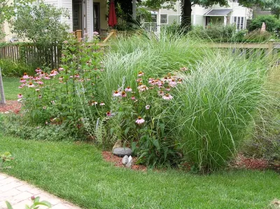 Anne Roberts Gardens, Inc. - Rainwater Harvesting System Installation in Chicago, IL