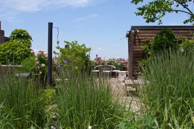 Commonwealth Avenue Rooftop — Landscape Design project by Matthew Cunningham Landscape Design LLC