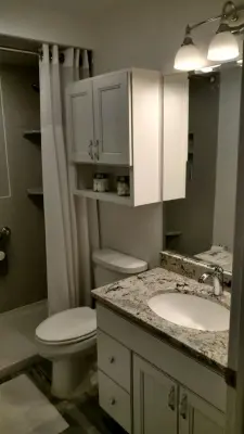 Guest Bathroom Renovation — Kitchen Remodeling project by July's Quality Construction & Remodeling