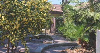 Mauri Landscapes - Garden Remodeling in Las Vegas, NV