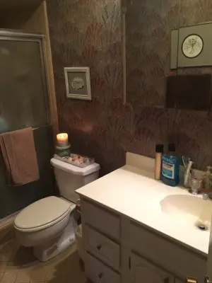 Oak Tree Bathroom Transformation — Kitchen Remodeling project by Leigh Lusk Interiors