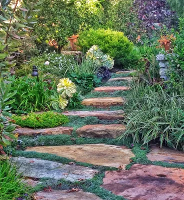 Mayita Dinos Garden Design - Garden Remodeling in Culver City, CA