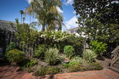 Mazingira Landscape and Design - Tree & Shrub Care in Berkeley, CA