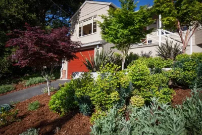 Mazingira Landscape and Design - Tree & Shrub Care in Berkeley, CA