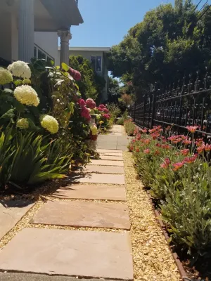 Mazingira Landscape and Design - Tree & Shrub Care in Berkeley, CA