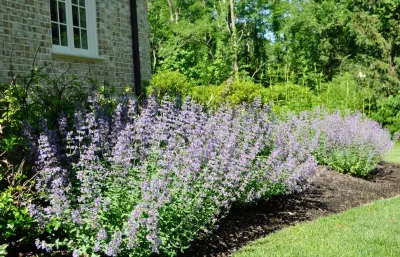 McCullough's Landscape & Nursery - Landscape Maintenance in New Albany, OH