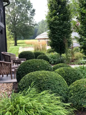 OAK GROVE — Landscape Design project by McCullough's Landscape & Nursery in New Albany