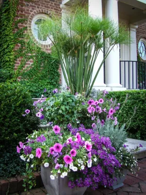 CONTAINERS — Landscape Design project by McCullough's Landscape & Nursery in New Albany