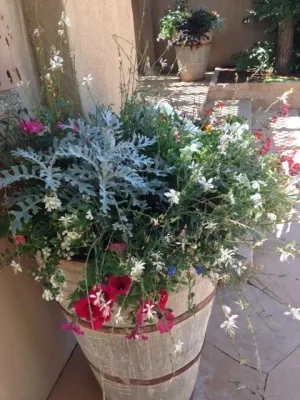 Canyon road landscape — Landscape Design project by McCumber Fine Gardens