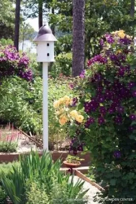 McDonald Garden Center and Landscapes - Patio Design & Installation in Hampton, VA