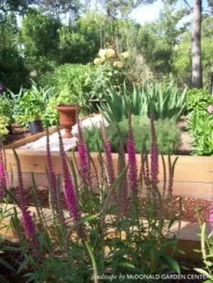 McDonald Garden Center and Landscapes - Patio Design & Installation in Hampton, VA