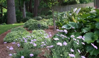 McDonald Garden Center and Landscapes - Patio Design & Installation in Hampton, VA
