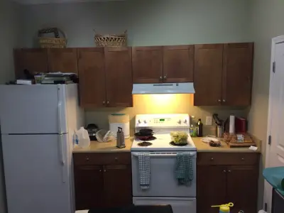 Radiant Vision Kitchen — Kitchen Remodeling project by Mary Vaughn - Lowe's Interiors Project Specialist