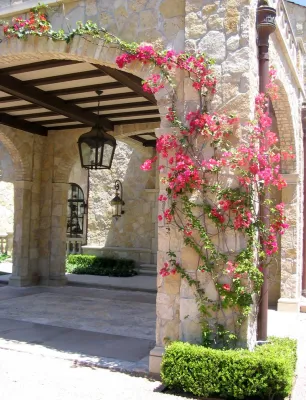 Houston Estate - Rustic — Landscape Design project by McDugald-Steele in Houston