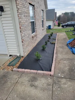 Alberto Alavez Professional Lawn Services LLC - Tree & Shrub Care in Louisville, KY