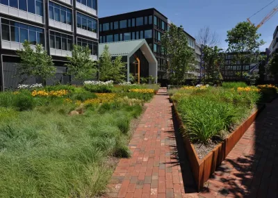 Melillo | Bauer | Carman Landscape Architecture - Landscape Design in Brielle, NJ
