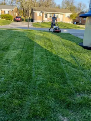 The Cortes Lawncare Services - Landscape Construction in Lexington, KY