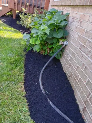 The Cortes Lawncare Services - Landscape Construction in Lexington, KY