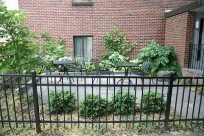 Shared Urban Garden — Landscape Design project by Melissa MacDonald, Landscape Architect in Somerville