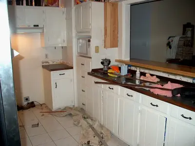 Restoration by Phoenix - Kitchen Remodeling in Mckinney, TX