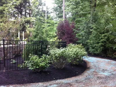 Menne Garden Artistry - Tree Planting & Transplanting in East Amherst, NY