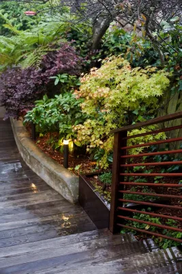 Merge Studio - Landscape Design in Sebastopol, CA