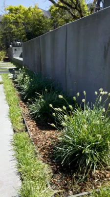 santa rosa residence — Landscape Design project by Merge Studio