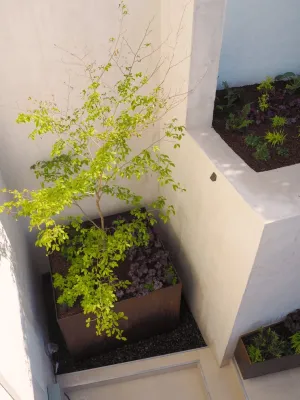 a teaspoon of soil by Merge Studio