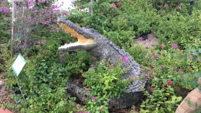 Around the shop — Landscape Design project by Meyer's Turf And Landscape Nursery