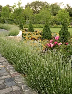 Michael Callan Landscape Architect - Landscape Design in San Mateo, CA