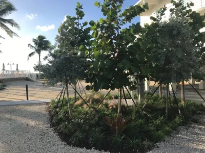 Michael Flaugh, Landscape Architect, P.L. - Patio Design & Installation in Stuart, FL