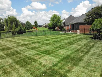 Lawn Care — Landscape Construction project by All Summer Landscaping
