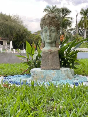 CASA O — Landscape Design project by Aveille Landscape in Coral Gables
